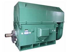 YR6302-10/800KWYKK系列高压电机